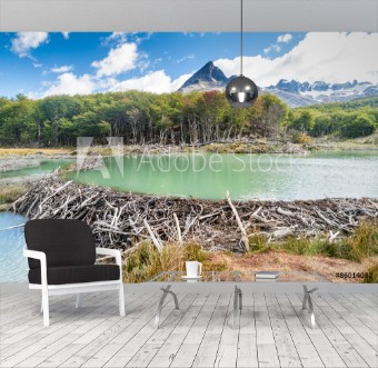 Picture of Beaver dam at Tierra del Fuego